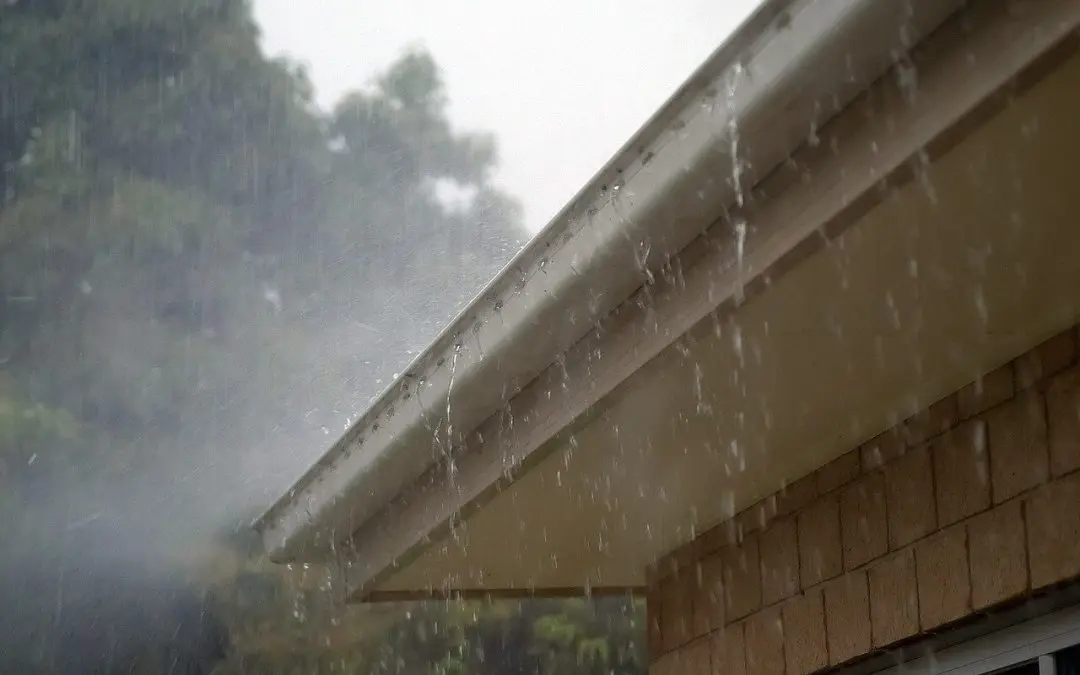 cleaning your gutters